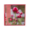Album foto Procart Flower Red Tulip 10x15 500 poze buzunare slip-in