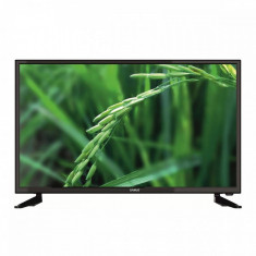 Televizor Samus LED LE32C1 HD Ready 81 cm Black foto