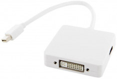 4World Adaptor mini DisplayPort [M] la DisplayPort [F] + DVI-I[F] alb foto