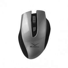 Mouse Canyon CNS-CMSW7G wireless reincarcabil Grey foto