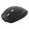 Mouse Esperanza Optical Wireless EM121K Black