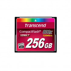 Card Transcend Compact Flash 256GB 800x foto