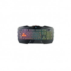 Tastatura gaming A4Tech Bloody B254 USB Black foto