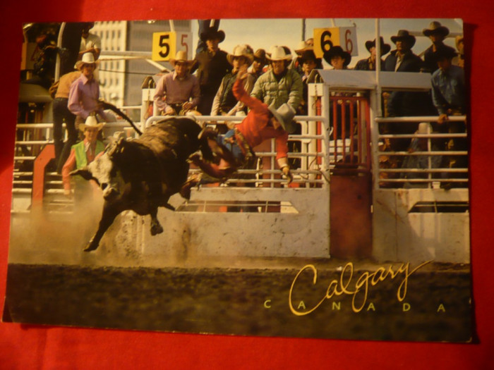 Ilustrata Olimpiada Calgary Canada 1994 -Spectacol Cowboy,circulat ParAvion