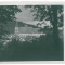 334 - BRASOV, Black Church - old postcard, real PHOTO - unused