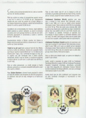 2012 - rase de caini, carton filatelic foto