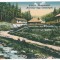 2430 - MARAMURES, cabane - old postcard - unused