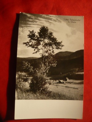 Ilustrata Valea Teleajanului la Cheia anii &amp;#039;50 foto