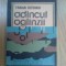 n4 Adancul Oglinzii - Traian Olteanu