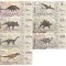 !!! FANTASY NOTES : FRISLAND - LOT COMPLET DINOZAURI (7 buc.) 2016 - UNC