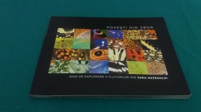 POVEȘTI DIN ZBOR *GHID DE EXPLORARE A FLUTURILOR DIN ȚARA HAȚEGULUI/2011 * 13 foto
