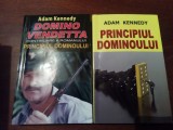 PRINCIPIUL DOMINOULUI DOMINO VENDETTA