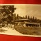 Ilustrata Bucuresti - Gradina Botanica , circulat 1957