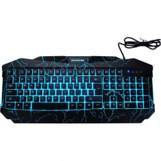 Tastatura gaming Newmen GL800 foto