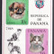 Panama 1967 fauna pisici caini MI bl.65 MNH w44
