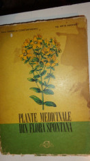 plante medicinale din flora spontana 16planse color/333pag/ilustratii/an 1973 foto