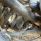 Arc Suspensie Spate Peugeot 406 Berlina 2000-2004 !