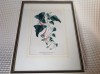 LICHIDARE! Litografie offset Horto van Houtteaneo, sec XIX -