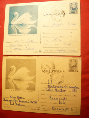 2 Carti Postale Ilustrate - Lebede , cod 707/70 foto
