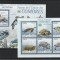 Fauna ,broaste testoase ,Comore.