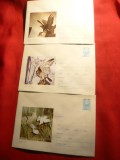Set 3 Plicuri - Pasari cod 26 , 29 , 31 -1971