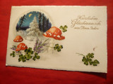 Ilustrata - Felicitare - Ciuperci iarna , circulat la Bucuresti, Circulata, Printata