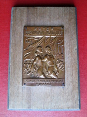 Placheta veche / Metal pe lemn: Cupa Unitatii Tineretului R.P.R. 1948 (9,3x13,7) foto
