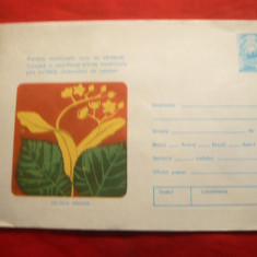 Plic ilustrat - Plante Medicinale - tei , cod 96/74