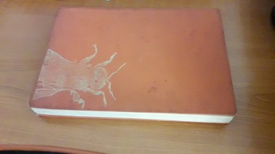 Cresterea Albinelor - Barac, Foti, Popa, Sanduleac foto