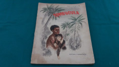 TOMBUCULA/ ION CALOVIA/ILUSTRATII DESPINA GHINOCASTRA/1957 foto