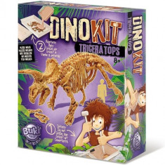 Paleontologie - Dino Kit Triceratops foto