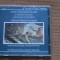 Bach, Handel, Vivaldi, Couperin - Concerte harpa si orchestra