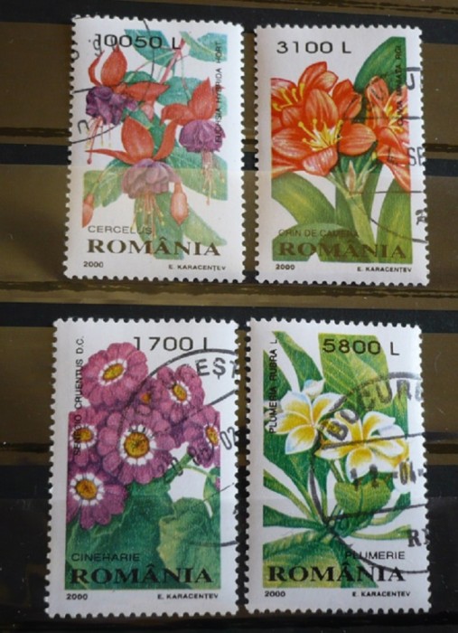 ROMANIA 2000 – PLANTE DE APARTAMENT, serie stampilata AM23 ROMANIA 2000 – PLANTE DE APARTAMENT, serie stampilata AM23