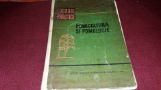 FL LUPESCU - POMICULTURA SI POMOLOGIE LUCRARI PRACTICE foto