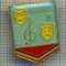 ZET 605 INSIGNA - PIONIER INTERPRET-CLASA A II-A(LOCUL II)