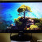 Monitor LED Benq GL941m, 19&quot;, WXGA, DVI, VGA, senseye3, boxe integrate