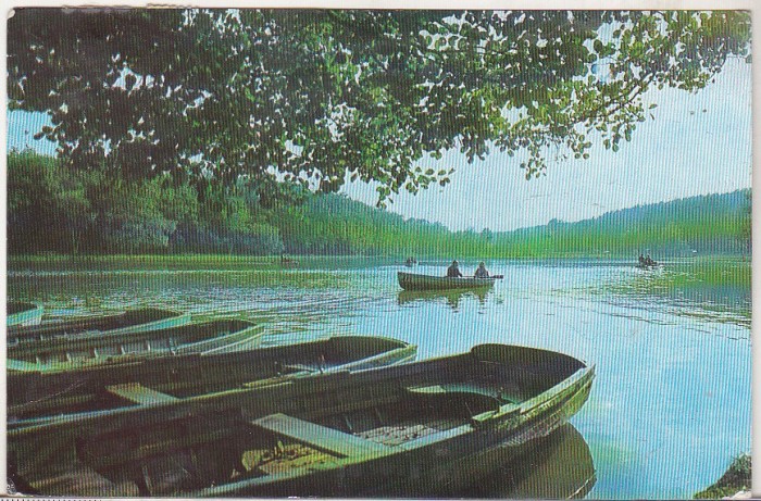 bnk cp Sibiu - Lacul din Dumbrava - circulata foto mare bnk cp Sibiu - Lacul din Dumbrava - circulata foto mare