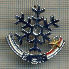 ZET 630 INSIGNA SPORTIVA - E.S.F. -RENUMITA SCOALA FRANCEZA DE SKI(SCHI)