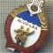 ZET 595 INSIGNA -1964 AL VII-LEA CONCURS ARTISTIC DE AMATORI
