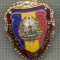 ZET 639 INSIGNA ,,MILITAR DE FRUNTE&quot; - PERIOADA RSR - PENTRU NOSTALGICI