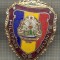 ZET 651 INSIGNA ,,MILITAR DE FRUNTE&quot; - PERIOADA RSR - PENTRU NOSTALGICI