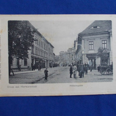 CARTE POSTALA * SALUTARI DIN SIBIU / HERMANNSTADT - KARL GRAEF