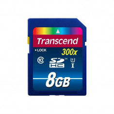 Card Transcend SDHC 8GB Class10 UHS-I 300x foto