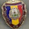 ZET 652 INSIGNA ,,MILITAR DE FRUNTE&quot; - PERIOADA RSR - PENTRU NOSTALGICI