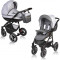 Carucior Crooner 2 in 1 Gray