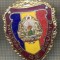 ZET 650 INSIGNA ,,MILITAR DE FRUNTE&quot; - PERIOADA RSR - PENTRU NOSTALGICI