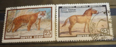 RUSIA 1959 ? TIGRUL SIBERIAN SI CALUL SALBATIC, serie stampilata, AM32 foto