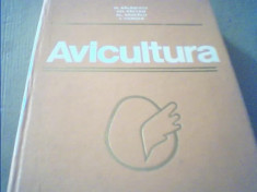 M. Balasescu, Gh. Baltan, Al. Dascalu, I. Vancea - AVICULTURA { 1980 } foto