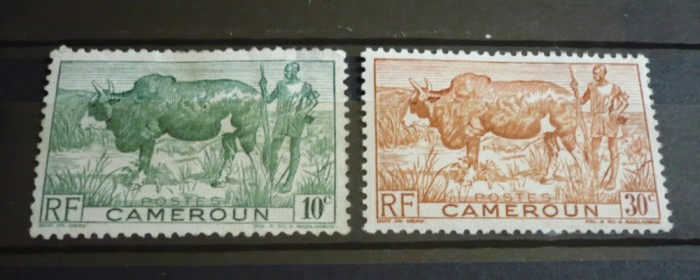 CAMERUN – CRESCATORI DE ZEBU, timbre cu SARNIERA, AM90 foto mare CAMERUN – CRESCATORI DE ZEBU, timbre cu SARNIERA, AM90 foto mare