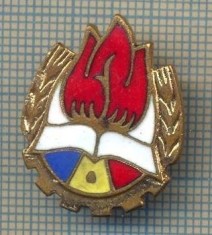 ZET 660 INSIGNA - PIONIER -PENTRU NOSTALGICI